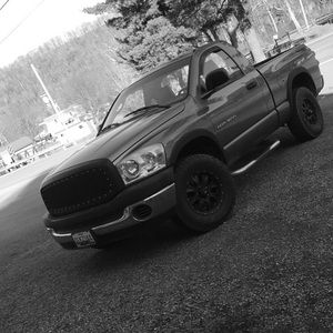 Meet your Posher, Harley